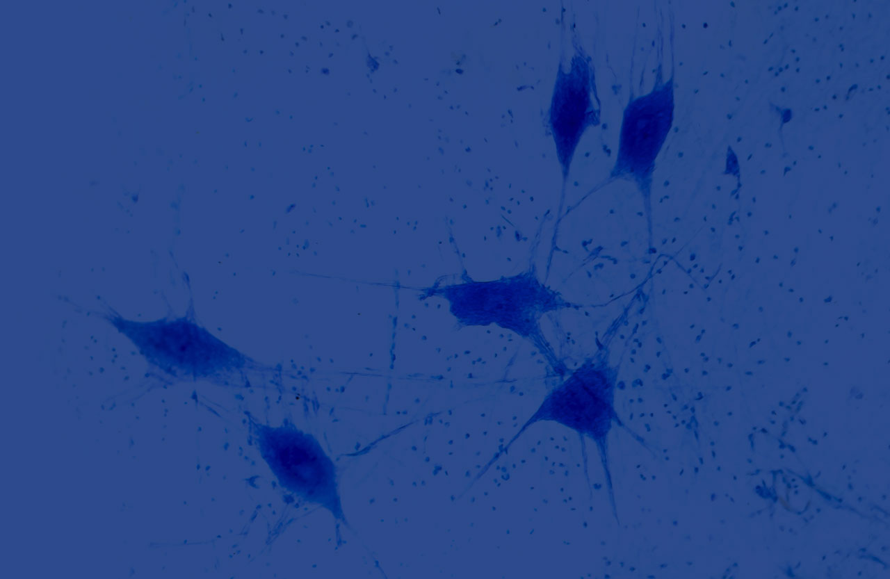 neuroscience-research-solutions