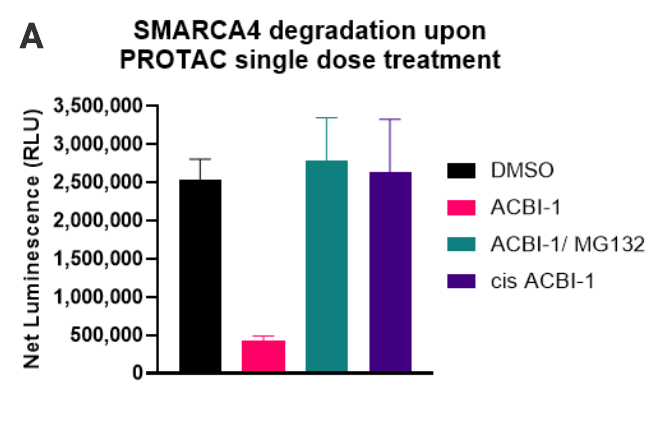 smarca4-a