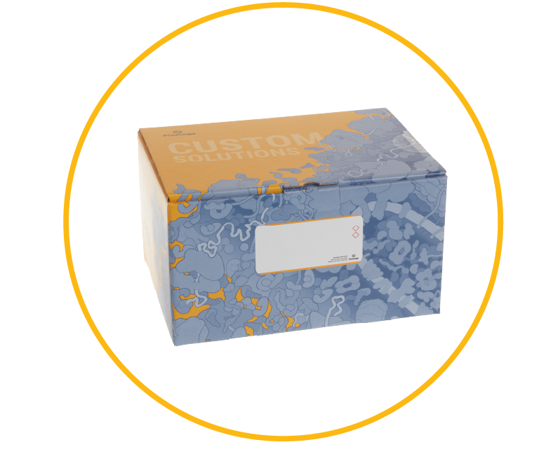 streamlined labeling