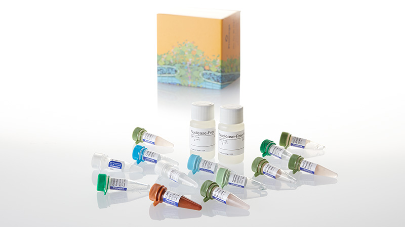 GoTaq 2-Step RT-qPCR System 5ml