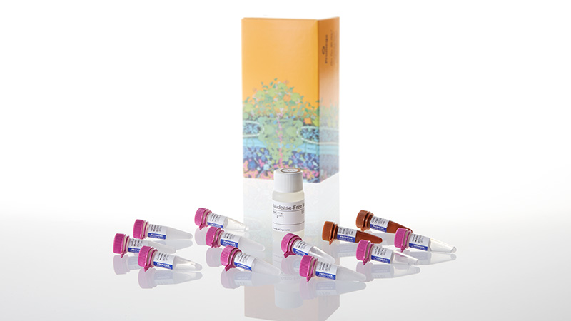 A6102_GoTaq--Probe-qPCR-Master-Mix--10ml_3