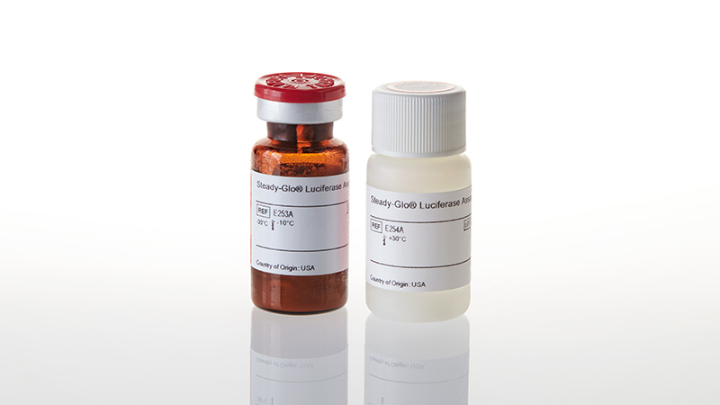 E2510_Steady-Glo--Luciferase-Assay-System_3