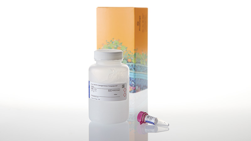G7791_Apo-ONE--Homogeneous-Caspase--3-3a7-Assay_3