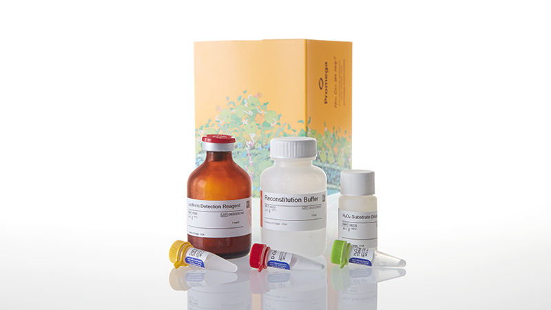 G8821_ROS-Glo-H2O2-Assay-50ml
