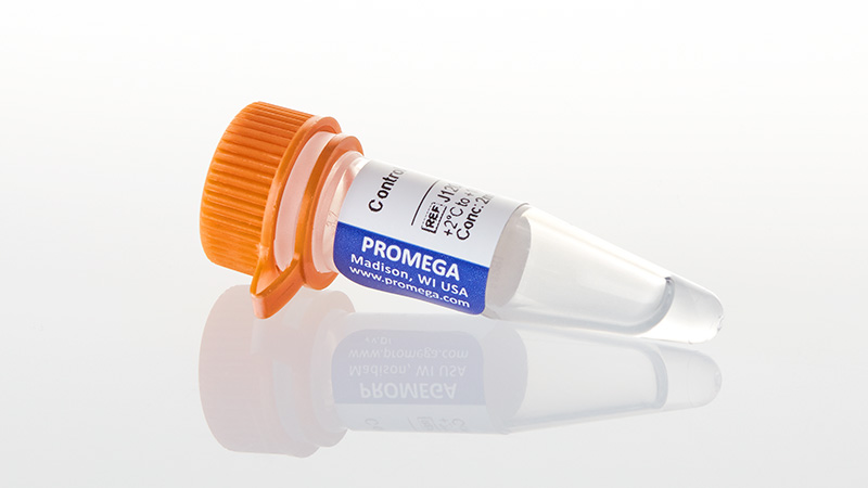 J1201_Control-Ab--Anti-PD-1_3