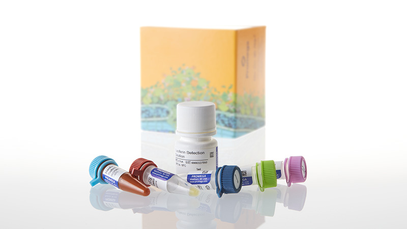 J6021_Glucose-Glo