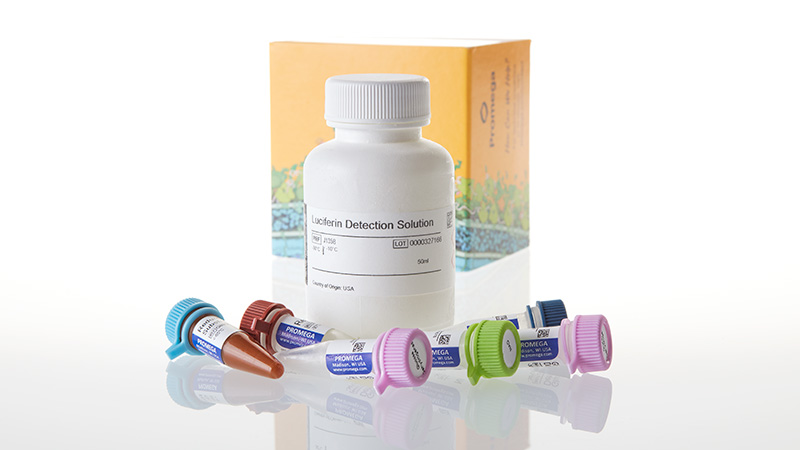 J6022_Glucose-Glo