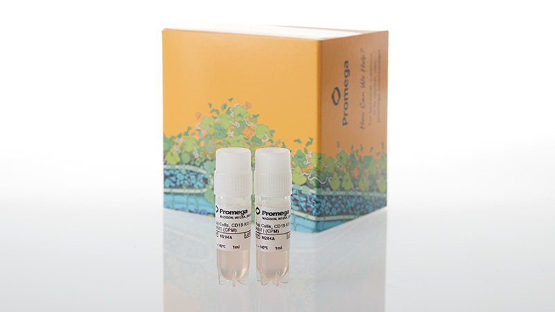 m2042-raji-ldh-hibit-cd19-ko-tck-bioassay-propagation-model