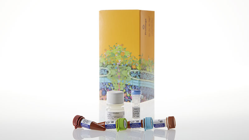 N2620_NanoBRETTM-TE-Intracellular-Kinase-Assay--K-8--100-assays_3