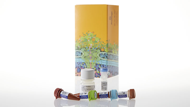 N2631_NanoBRETTM-TE-Intracellular-Kinase-Assay--K-9--1-000-assays_3