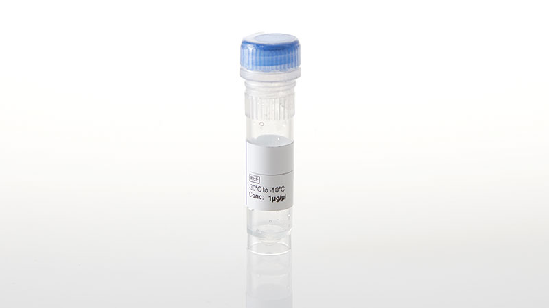 NV3221_NanoLuc--HIPK2