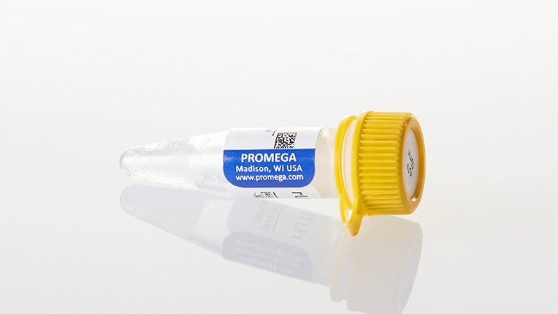 P1162_rUTP--10mM--0-5ml_3