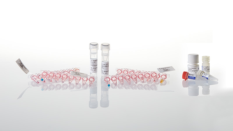 V6856_Kinase-Selectivity-Profiling-Systems