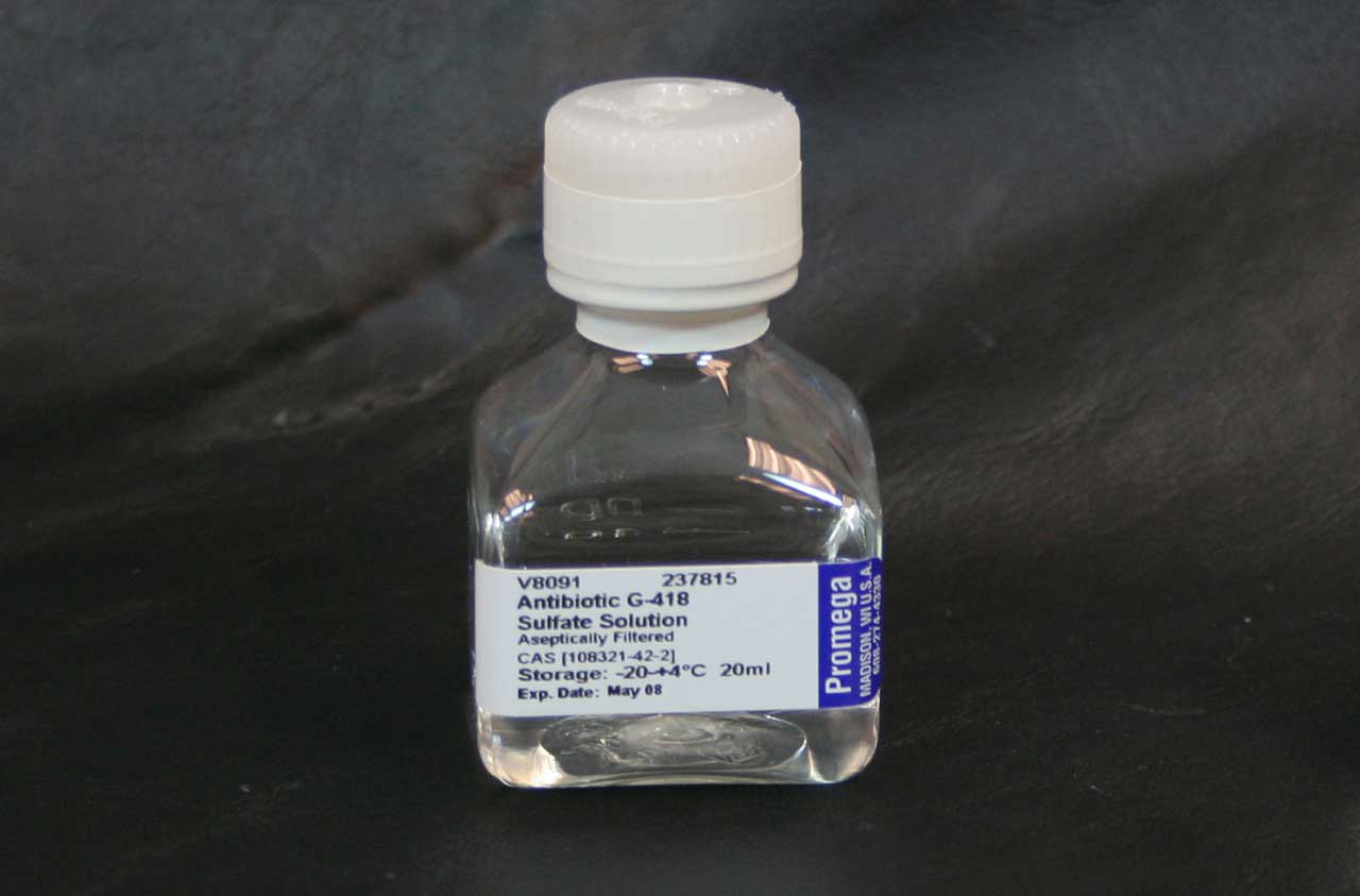 V8091