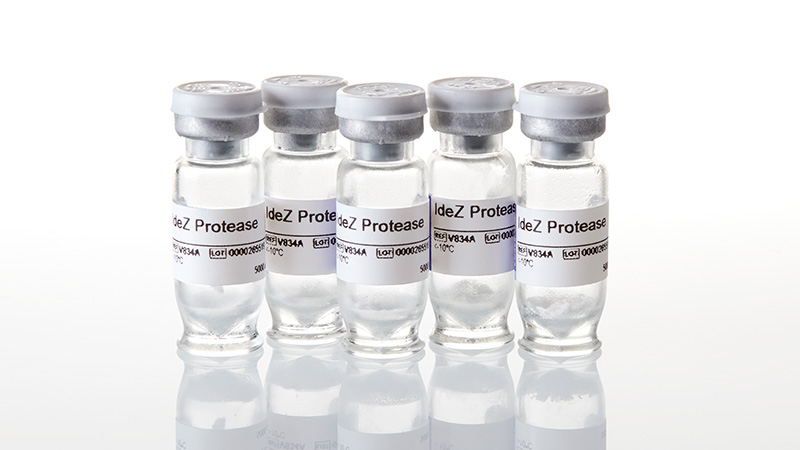 V8345_IdeZ-Protease--25000U_3