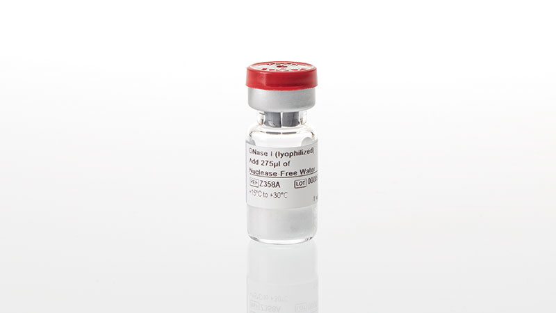 DNase