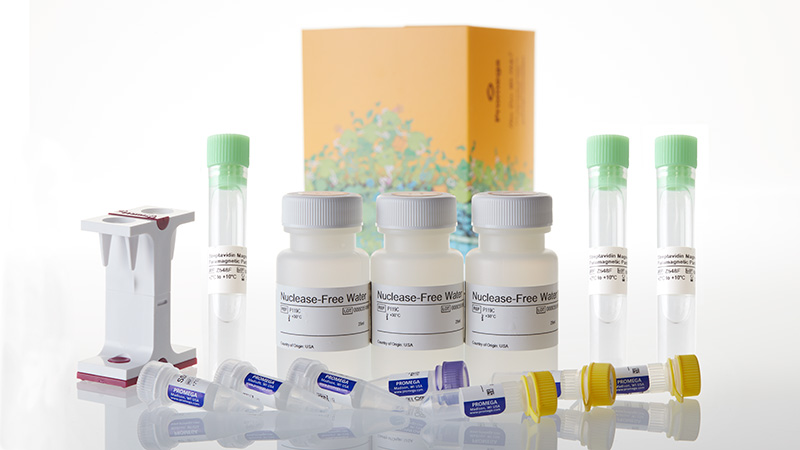 Z5200_PolyATtract--mRNA-Isolation-System-II_3