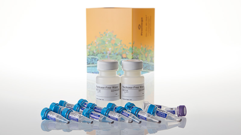 Z5310_PolyATtract--mRNA-Isolation-System-IV_3