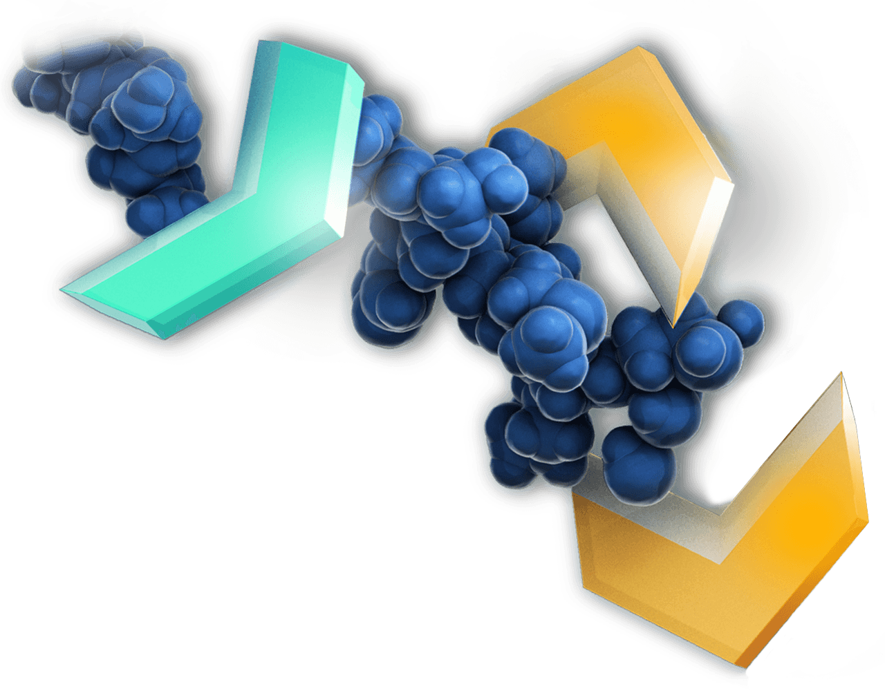 Trypsin digest illustration.