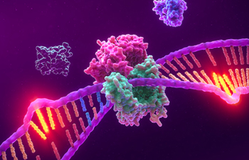 58198823-msi-sidebar-image-350x225