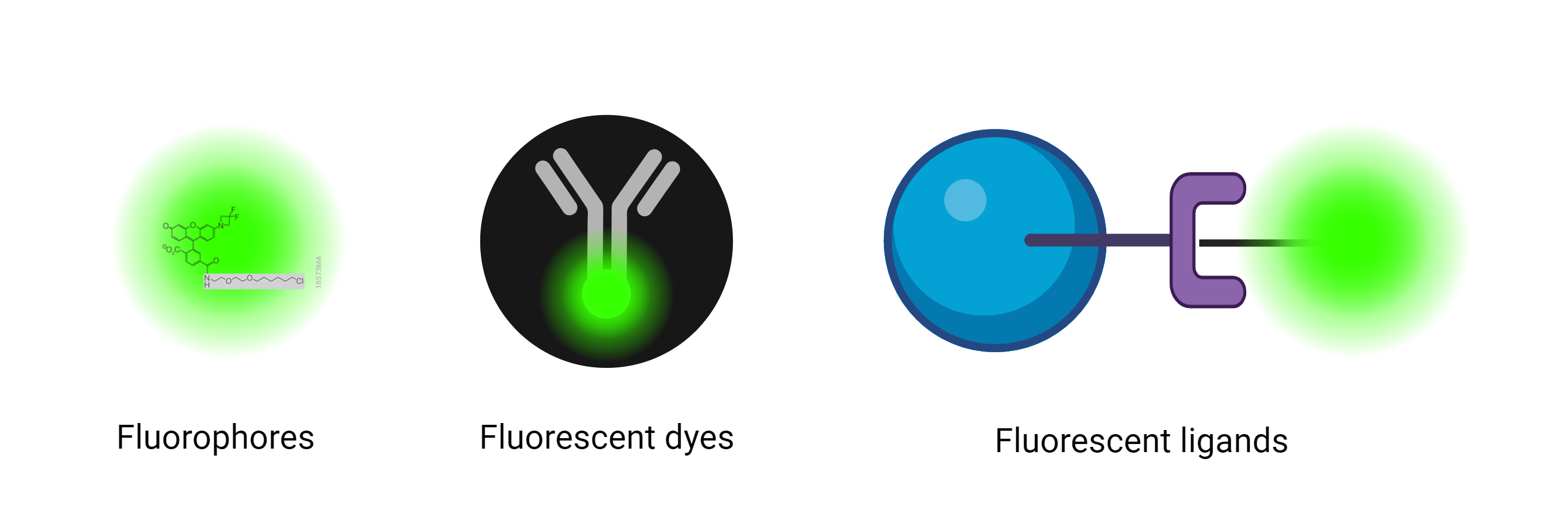 addgene-blog-image