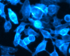 galaxyimage54
