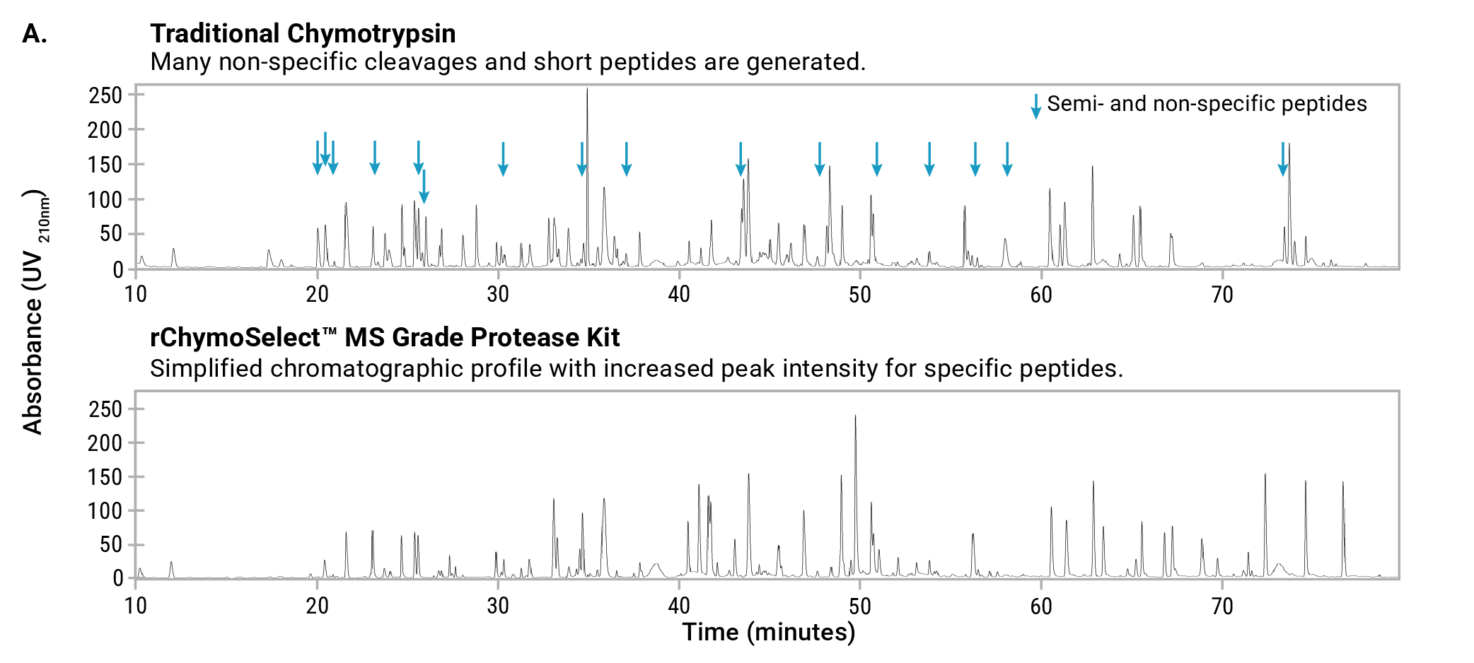 UV chromatograms comparing traditional chymotrypsin and rChymoSelect™ MS Grade Protease Kit digestion of a model substrate.