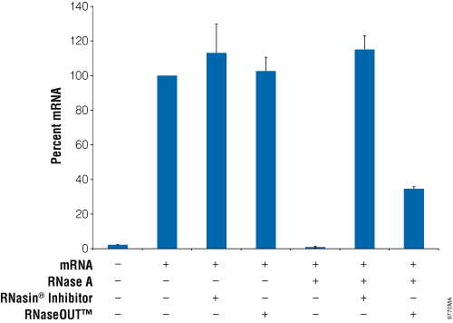 Comparison of RNasin® Ribonuclease Inhibitor and RNaseOUT™ inhibition of RNase A during qRT-PCR.