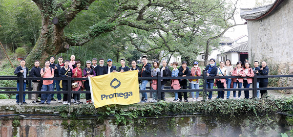 shanghaiesibootcamp-600x280