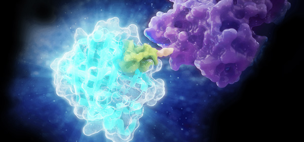 pitrw-hibit-macular-degeneration-blog